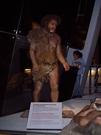Описание: https://upload.wikimedia.org/wikipedia/commons/thumb/d/d1/Homo_Neanderthalensis_CosmoCaixa.JPG/200px-Homo_Neanderthalensis_CosmoCaixa.JPG